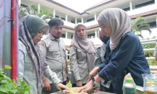 Program LESTARI KOTA Perkuat Ketahanan Pangan lewat Urban Farming