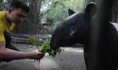 FOTO: Pengelola Transisi Bandung Zoo Siap Bekerja Sama dengan Pengelola Baru