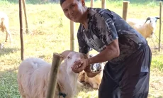Generasi Ke-9 Penjual Domba Kurban di Kota Bandung Tetap Bertahan di Tengah Perubahan