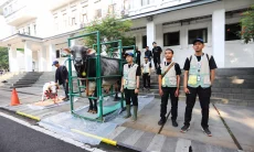 Pengawasan Ketat Hewan Kurban di Kota Bandung Dimulai, Ini Langkah Pemkot