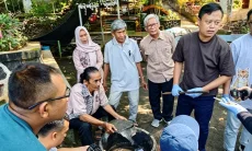 Kematian Kura-Kura Belawa Diselidiki, RSH Jabar Uji Air dan Kondisi Satwa