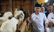 Jelang Iduladha, 2.829 Hewan Kurban di Bandung Barat Lolos Uji Kesehatan
