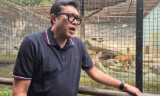 Ono Surono Pastikan DPRD dan Pemprov Jabar Jaga Satwa Bandung Zoo Tak Terlantar