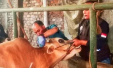 Jelang Iduladha, Tim Khusus Cimahi Menyisir Seluruh Titik Penjualan Hewan Kurban
