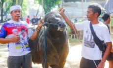Pedagang Hewan Kurban Diimbau Tak Berjualan di Area Publik Kota Bogor