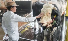 Dedi Mulyadi Salat Iduladha di Banjar, Titip Pesan Spiritual bagi Jemaah Haji
