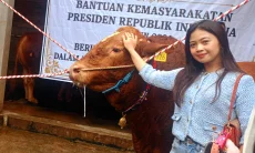 Kisah Selvy Peternak Muda Cimahi Usai Sapinya Dipilih Langsung Presiden Prabowo