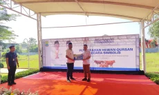 Pemkab Karawang Salurkan 64 Ekor Sapi Kurban