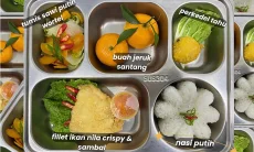 Aplikasi Reviu Menu MBG Bisa Digunakan Mulai Juni, BGN: Dashboard Masih Dicek