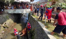 Sapi Kurban Tercebur ke Sungai, Damkar Kota Tasikmalaya Evakuasi Selama Dua Jam