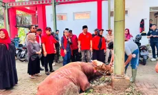 PDIP KBB Sebar Daging Kurban, GANTI Jabar hingga Deny Cagur Ikut Nyumbang Sapi