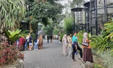 Libur Panjang Iduladha, Lembang Park Zoo Catat Lonjakan Kunjungan 10 Persen 