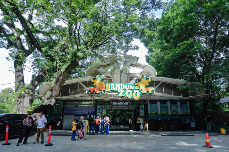 Pemerintah Siapkan Skenario Darurat Pengelolaan Bandung Zoo