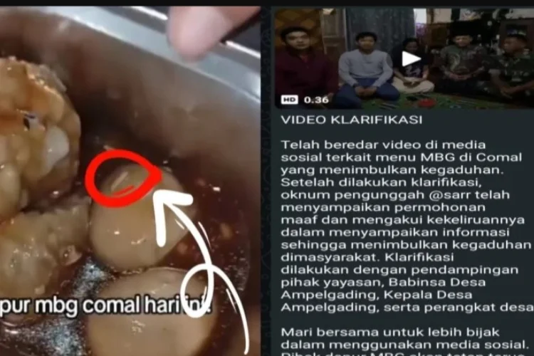 Kronologi Temuan Belatung di Menu MBG, Viral di TikTok hingga Berujung Minta Maaf
