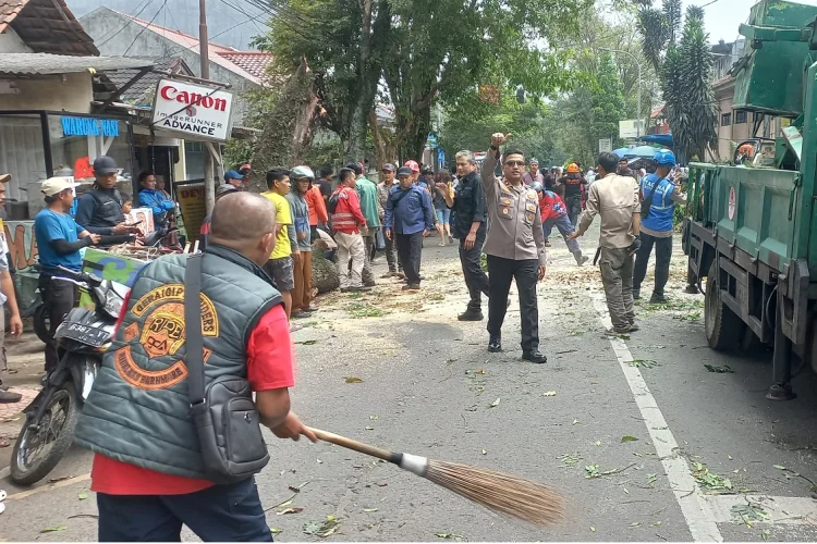 Pohon Besar Tumbang Tutup Jalan Encep Kartawiria Cimahi, Tiga Siswa Luka Ringan