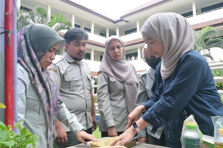 Program LESTARI KOTA Perkuat Ketahanan Pangan lewat Urban Farming