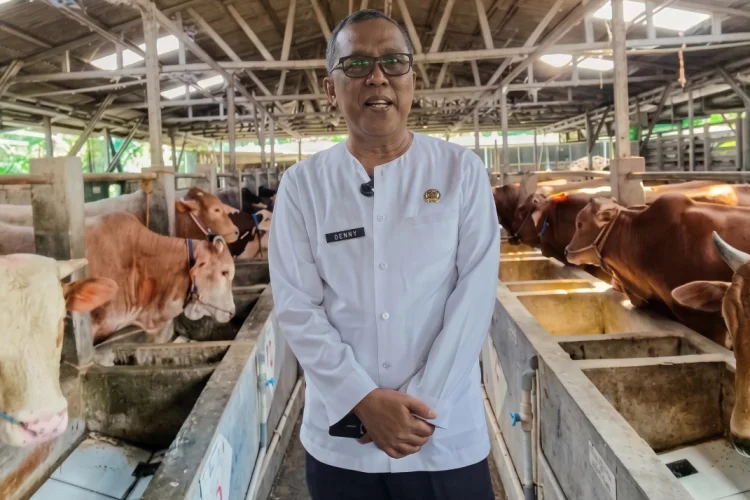 Jelang Iduladha, Pemkab Cirebon Perketat Pemeriksaan Hewan Kurban