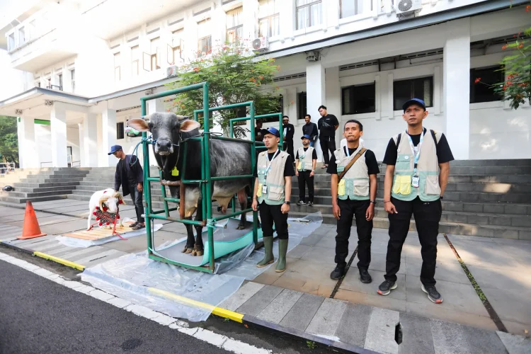 Pengawasan Ketat Hewan Kurban di Kota Bandung Dimulai, Ini Langkah Pemkot