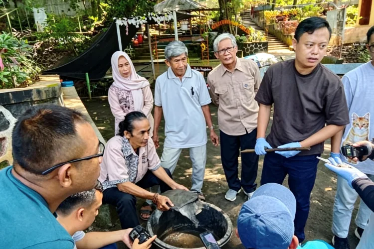 Kematian Kura-Kura Belawa Diselidiki, RSH Jabar Uji Air dan Kondisi Satwa
