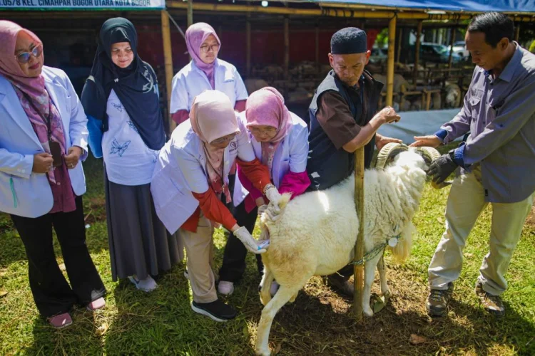 Bursa Hewan Kurban Pajajaran Jamin Domba, Kambing, Sapi Sehat dan Layak Konsumsi