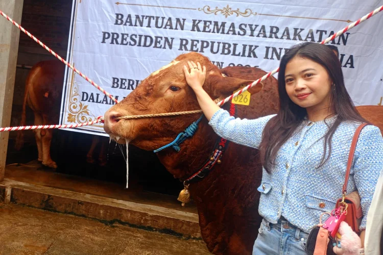 Kisah Selvy Peternak Muda Cimahi Usai Sapinya Dipilih Langsung Presiden Prabowo