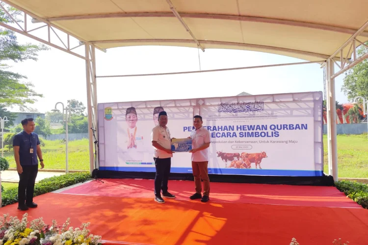Pemkab Karawang Salurkan 64 Ekor Sapi Kurban