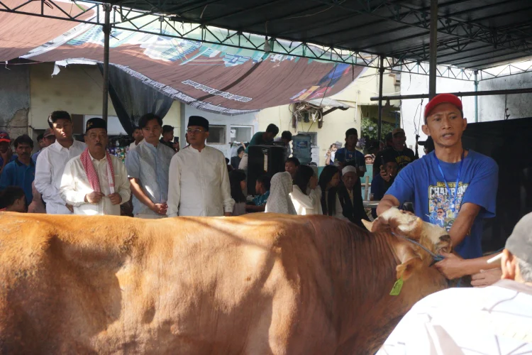 Rayakan Iduladha 2026, Umuh Muchtar dan Wagub Jabar Erwan Setiawan Kurban 15 Ekor Sap