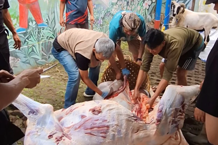 18.036 Hewan Kurban di Kota Bandung Dijamin DKPP Sehat