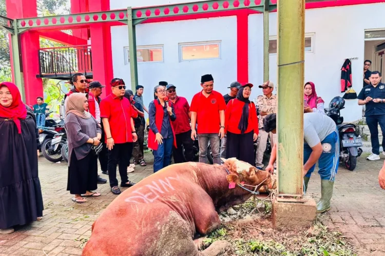 PDIP KBB Sebar Daging Kurban, GANTI Jabar hingga Deny Cagur Ikut Nyumbang Sapi