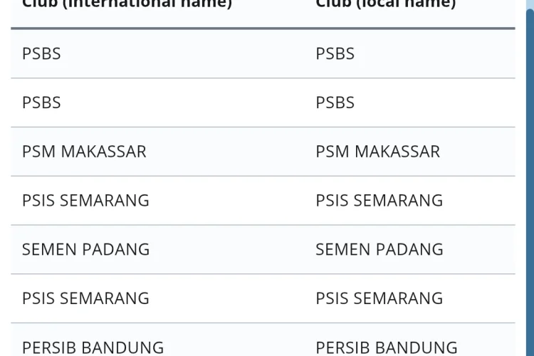 Persib Bandung Masuk Daftar FIFA Registration Ban, Apa Maksud dan Dampaknya?