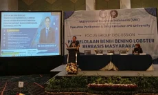 MKI dan IPB University Dorong Pengelolaan Benih Lobster Berbasis Masyarakat