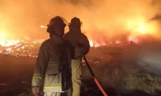 18 Ribu Ekor Ayam di Caringin Hangus Terbakar, Pengusaha Rugi Rp300 Juta