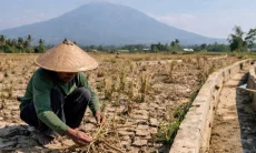 BPBD: 312 RW di Seluruh Penjuru Cimahi Bakal Terdampak Kekeringan 