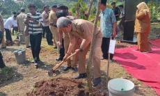 Hari Lingkungan Hidup dan HJB ke-544, Pemkot Bogor Tanam 544 Pohon