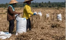 Lampaui Target 130 Persen, Bulog Cianjur Terus Serap Gabah Petani Rp6.500 per Kilo