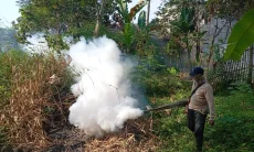 Serangan Nyamuk di Rancapanggung Terus Terjadi, Upaya Fogging Hanya Sementara
