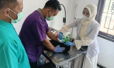Cegah Rabies dan Kendalikan Populasi, Dispernakan KBB Gelar Vaksinasi dan Sterilisasi