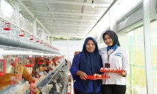 PNM Raih Predikat Indonesia Most Trusted Companies pada CGPI Award 2025