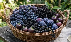 Ini 7 Buah Berwarna Gelap yang Miliki Segudang Manfaat untuk Kesehatan Tubuh