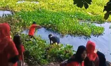 Populasi Eceng Gondok Ancam Waduk Cirata, Kader PDIP Cipeundeuy Lakukan Pembersihan