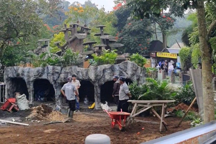 Sambut Liburan Sekolah, Lembang Park and Zoo Bangun Petting Zoo Bernuansa Eropa