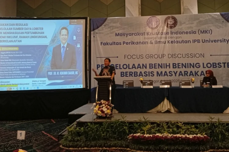MKI dan IPB University Dorong Pengelolaan Benih Lobster Berbasis Masyarakat