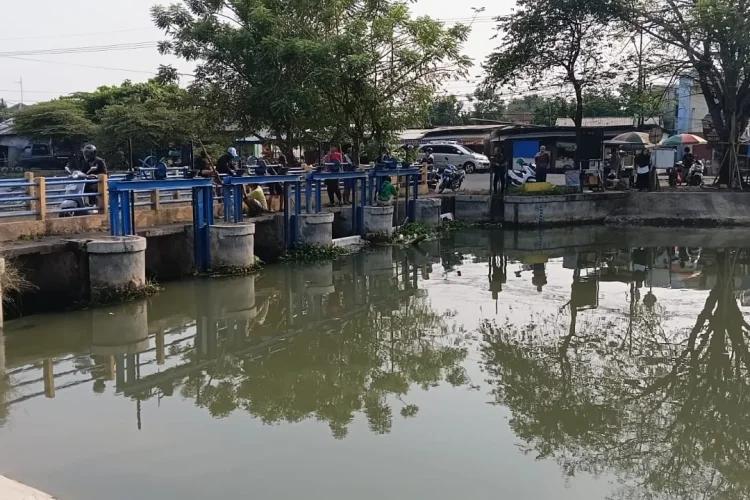 Geger, Ribuan Ikan Mati  di Saluran Irigasi, DLH Kirim Petugas Ambil Sampel Air