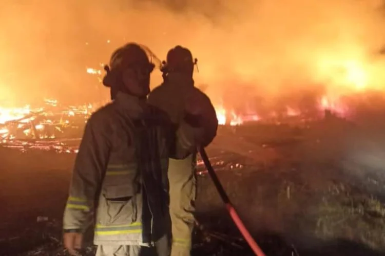 18 Ribu Ekor Ayam di Caringin Hangus Terbakar, Pengusaha Rugi Rp300 Juta