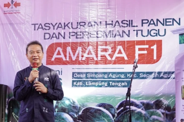 Lampung Kian Mengukuhkan Diri sebagai Sentra Semangka Nasional