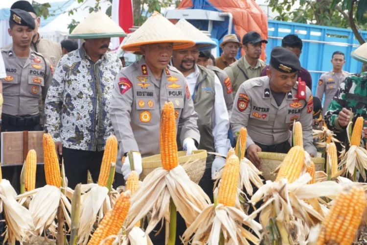 Polda Jabar Siapkan Piala Jagung 2026, Polres Jajaran Adu Inovasi Ketahanan Pangan