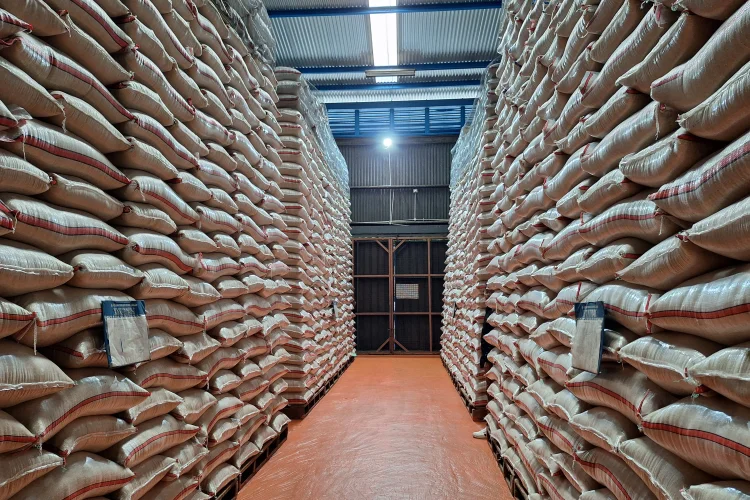 Bulog Serap 3,4 Juta Ton Beras hingga Agustus 2026, Capai 80 Persen Target