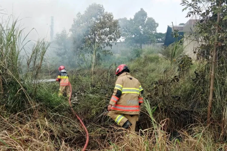 Cuaca Panas Ekstrim Picu Kebakaran Padang Ilalang di Sindangsari