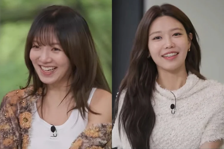 Ternyata Hyoyeon Girls' Generation Sudah Beri Isyarat Putusnya Sooyoung dengan Mantan