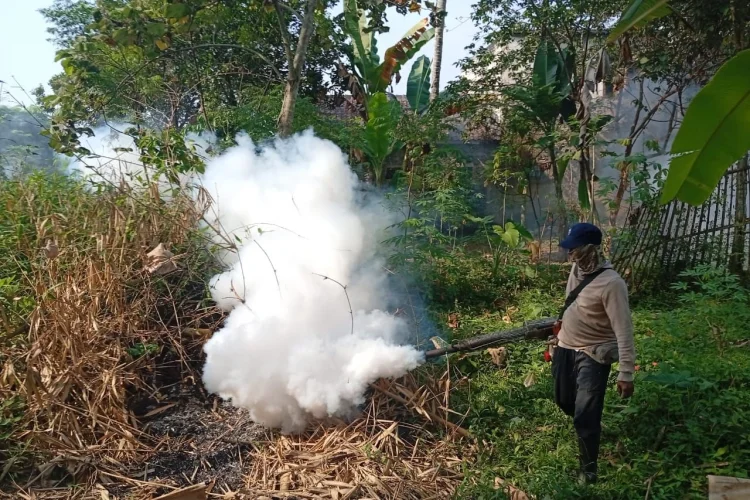 Serangan Nyamuk di Rancapanggung Terus Terjadi, Upaya Fogging Hanya Sementara
